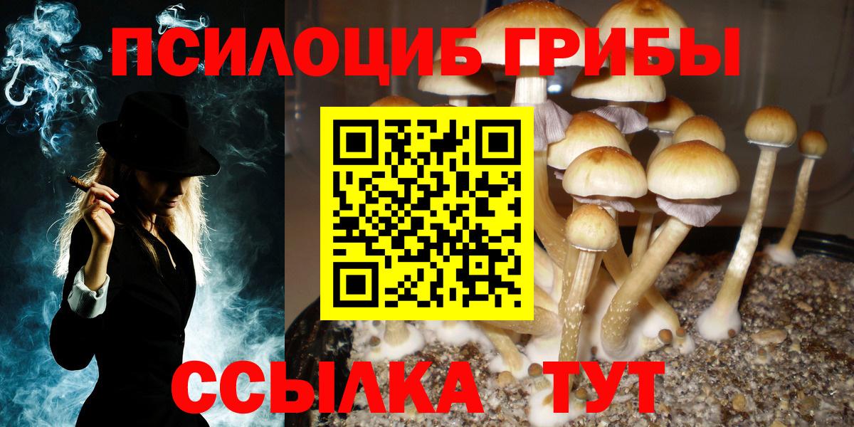 Галлюциногенные грибы Magic Shrooms Елизово