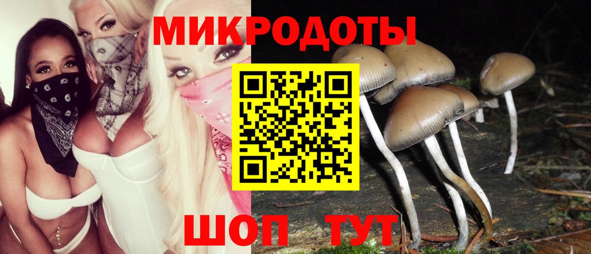 Елизово  Псилоцибиновые грибы Cubensis  Вход с VPN 